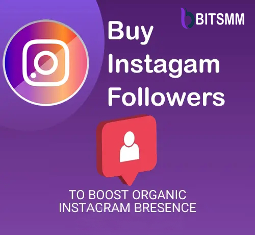 Buy Real Instagram Followers