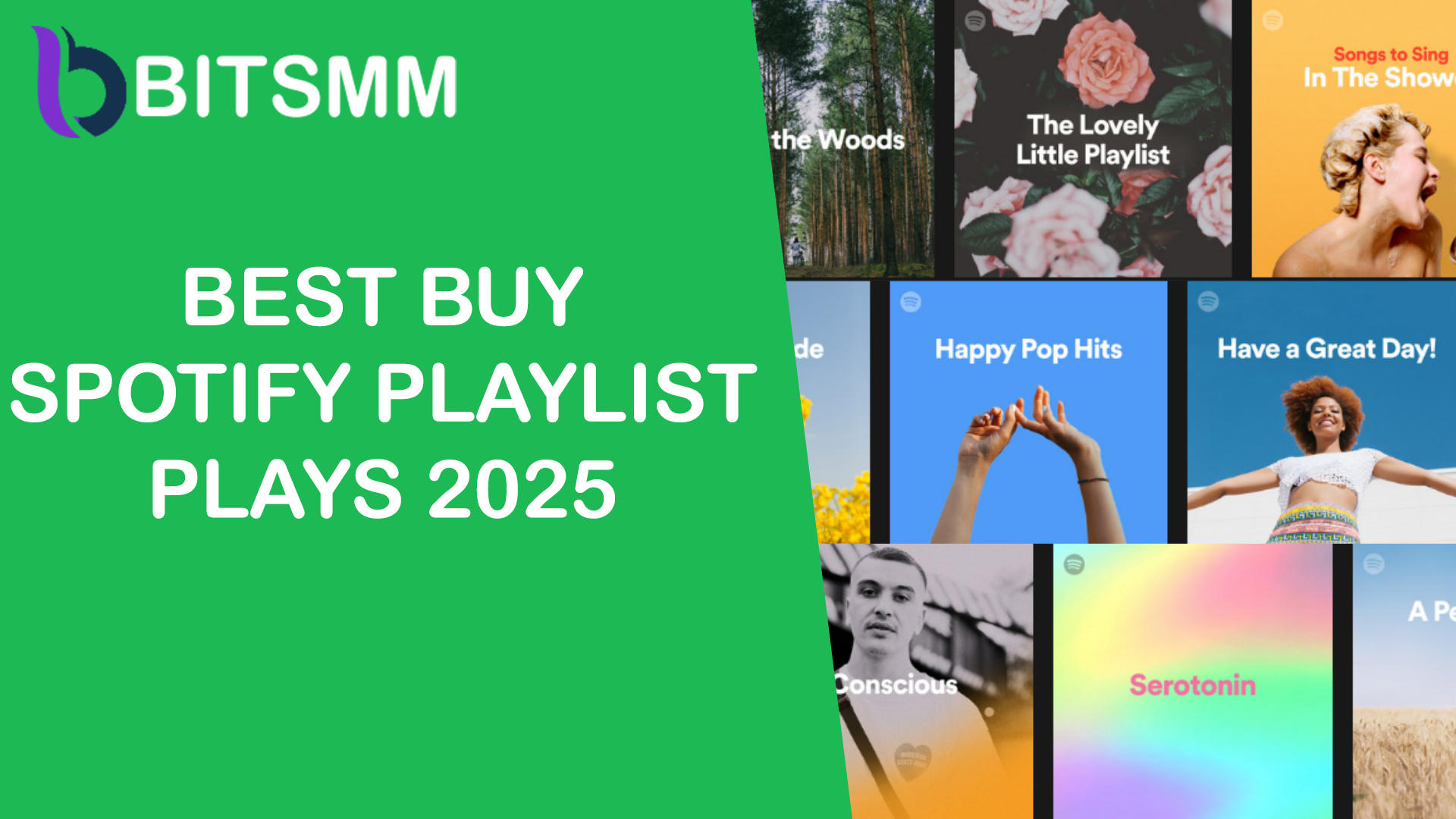 Best Buy Spotify Playlist Plays 2025