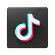 TikTok SMM Panel